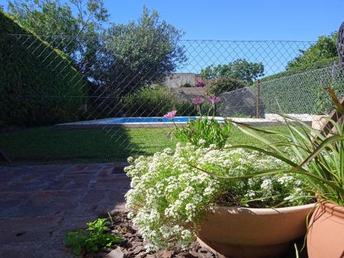 洛博斯Casa Los Trinos的一个带栅栏和一些白色花的花园