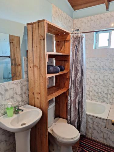 安加罗阿Cabañas puna poho的浴室配有卫生间、盥洗盆和浴缸。