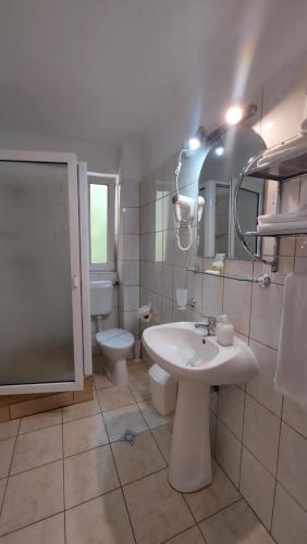 锡纳亚维拉安娜 - 玛丽亚酒店的一间带水槽、卫生间和镜子的浴室