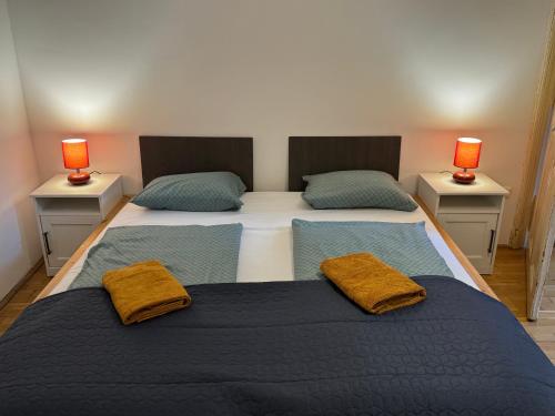 布达佩斯Maria Suite的一间卧室设有两张床,两边有两盏灯