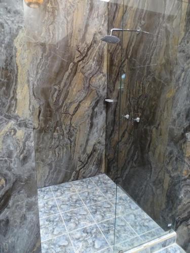 Playa VerdeHotel Palmas De Alcalá的带淋浴的浴室和玻璃门