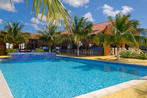 克拉伦代克Sand Dollar Bonaire的棕榈树屋前的游泳池