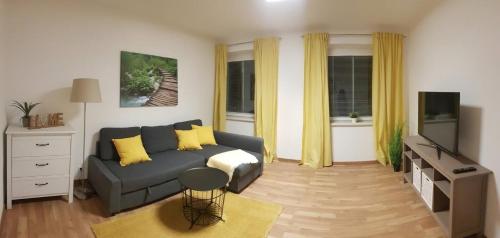 维也纳新城Top Appartement für Business-Wohnen-Urlaub的带沙发和电视的客厅