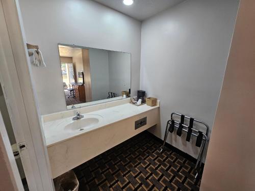 布兰登TRAVEL INN的一间带水槽和大镜子的浴室