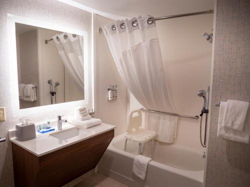 格林维尔Holiday Inn Express & Suites I-85 Greenville Airport, an IHG Hotel的带浴缸、水槽和淋浴的浴室