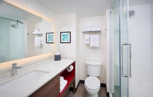 伯灵顿伯灵顿假日酒店&会议中心的浴室配有卫生间、盥洗盆和淋浴。
