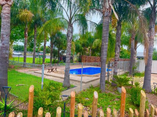 沃加沃加Seven Inn的棕榈树公园内一个带游泳池的围栏
