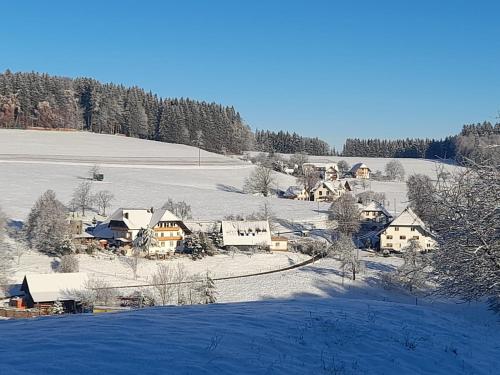 巴登-符腾堡Dischhof的雪地里的一个村庄,有田野和树木