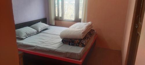 ShamshiKullvi hill homestay的一张小床,上面有两个枕头