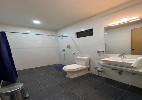 金沙萨Ixoras Hotel Victoire的一间带卫生间、水槽和镜子的浴室