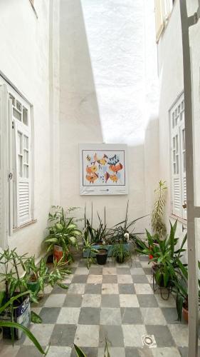 萨尔瓦多Hostel Canto Zen的种有盆栽植物的庭院和墙上的绘画