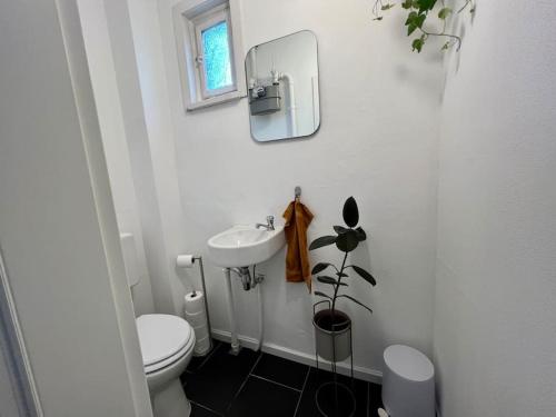 罗伊特林根Gemütliche Altbauwohnung in RT-Betzingen的白色的浴室设有卫生间和水槽。