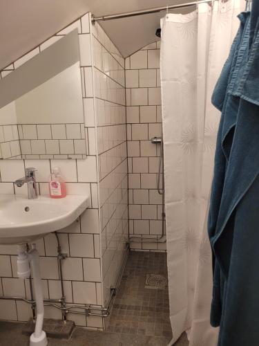 耶尔夫瑟Mysigt hus utanför Järvsö的一间带水槽和淋浴的浴室