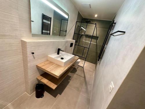 洛桑Loft industriel en duplex - The Urban Garage的一间带水槽和镜子的浴室