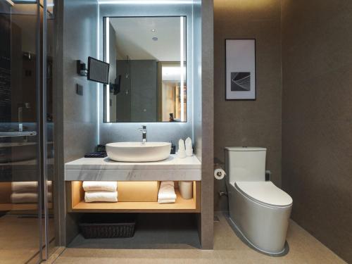 仪陇丽柏酒店南充仪陇星城广场的一间带水槽、卫生间和镜子的浴室
