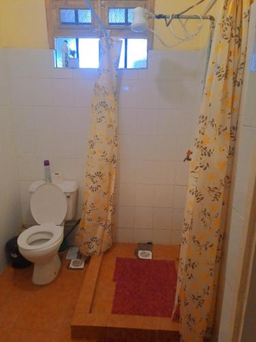 基苏木Elite stays kisumu的一间带卫生间和淋浴帘的浴室