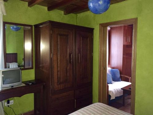 CoañaApartamentos Rurales Casa Ron的一间带绿色墙壁的卧室、一张床和电视