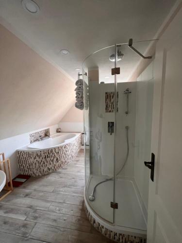 SehmaFerienhaus Bergblick - mit Sauna und Dampfbad und Yacuzzi的带淋浴和浴缸的浴室