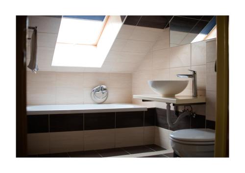 萨尔瓦尔Wolf Panzió的一间带水槽、卫生间和天窗的浴室
