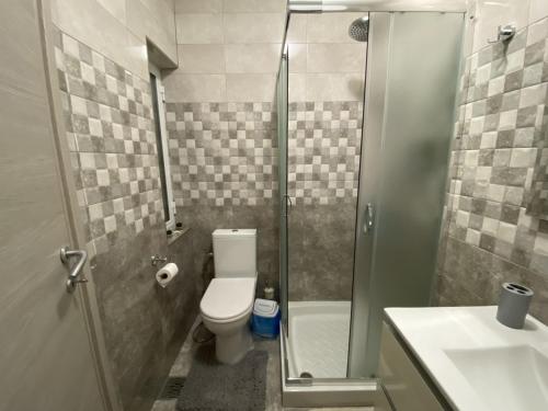 TarxienTargura Lodging的浴室配有卫生间、淋浴和盥洗盆。