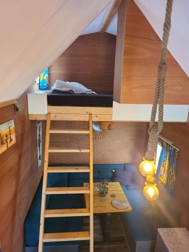 杜柏Bungalow Belle Vue en Tiny-house - Camping International - Bomal - Durbuy的带双层床和梯子的客房