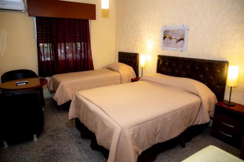 楚伊Hotel Internacional的酒店客房设有两张床和两盏灯。