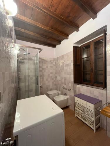 锡耶纳拉拖雷迪蒙信多利农庄酒店的浴室配有卫生间、淋浴和盥洗盆。