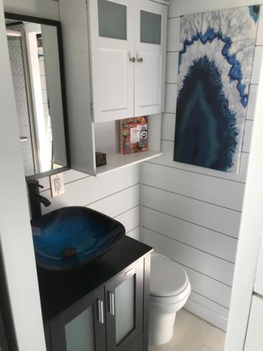 克莱蒙Modern, pet friendly tiny house, No extra fees!的浴室配有蓝色水槽和卫生间。