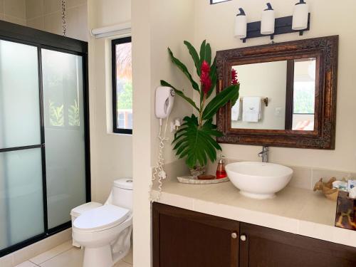 El NísperoParaiso Escondido Hotel Villas & Resort的一间带卫生间、水槽和镜子的浴室