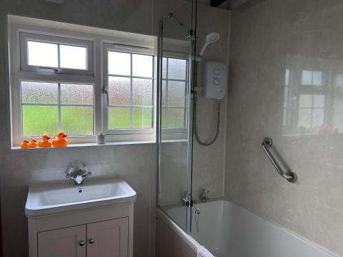 纽波特Ty-Newydd Cottage的带淋浴、盥洗盆和浴缸的浴室