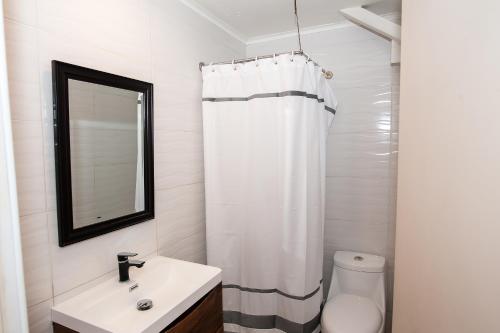 瓦尔帕莱索Casa Baron的一间带水槽、卫生间和镜子的浴室