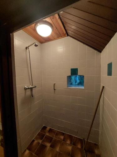 LindeDe Linde, boerderij in Drenthe voor 15 tot 30 personen的带淋浴的浴室和天花板