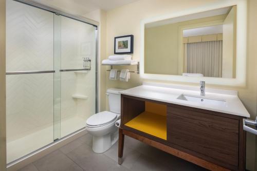 阿什维尔The Scenic Hotel at Biltmore Village的浴室配有卫生间、盥洗盆和淋浴。