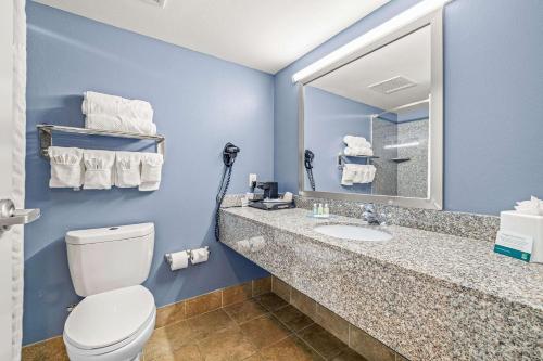 坦帕邻近露天市场和依波城品质套房旅馆的一间带卫生间、水槽和镜子的浴室
