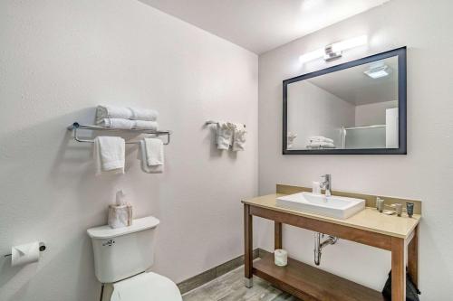 罗克福德Riverview Inn & Suites, Ascend Hotel Collection的一间带卫生间、水槽和镜子的浴室
