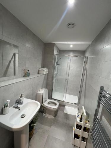海维康Stunning Modern Apartment的浴室配有卫生间、盥洗盆和淋浴。