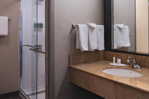 圣安东尼奥万怡酒店圣安东尼奥机场的一间带水槽和淋浴的浴室