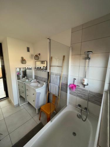 伊苏瓦尔L’appartement du bonheur的带浴缸和盥洗盆的浴室