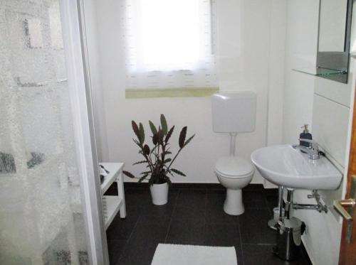 Lenche Gasthaus Neumayer的一间带卫生间和水槽的浴室