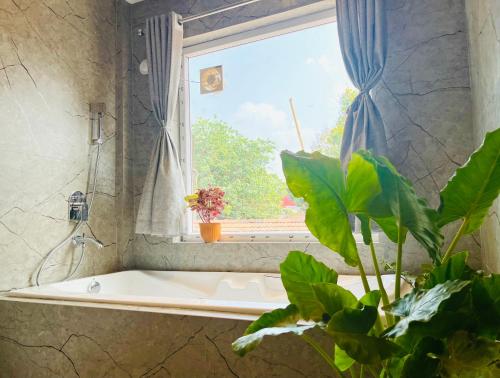 帕罗林Crystall Goa Palolem的带浴缸、窗户和植物的浴室
