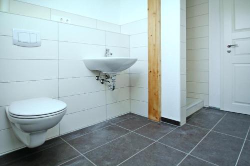 米罗Ferienhof Mirow, Mirow的一间带卫生间和水槽的浴室