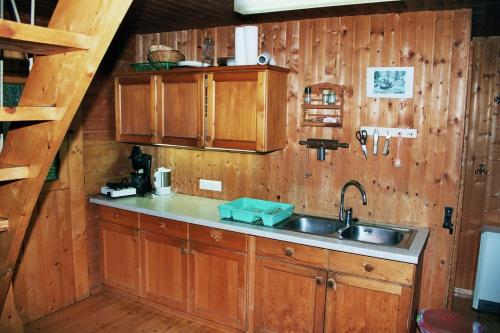 巴特圣莱昂哈德艾比斯克夫乌特恩木屋的小屋内的厨房设有木制橱柜和水槽