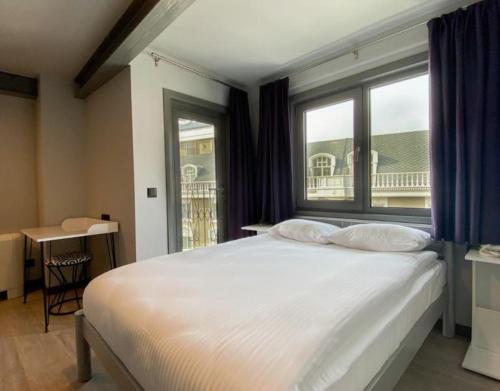 伊斯坦布尔Eresin Hotels Express的卧室配有一张大白色床和窗户