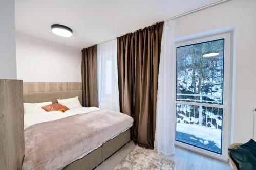 亚希莫夫Apartmán Barborka的一间卧室设有一张床和一个大窗户