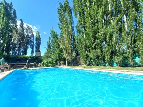查克拉斯德科里亚La Pausa, Departamentos y Casas的一个种有树木的大型蓝色游泳池