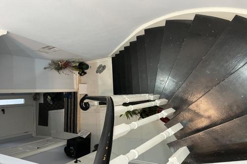 皮克灵ShayCozyDelux-Room-201的一间种植了植物的房间,有一个螺旋楼梯