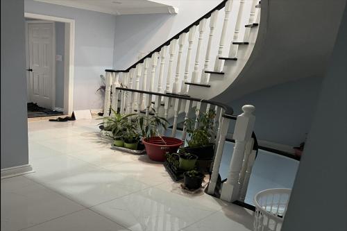 皮克灵ShayCozyDelux-Room-201的走廊上设有种植了盆栽植物的楼梯