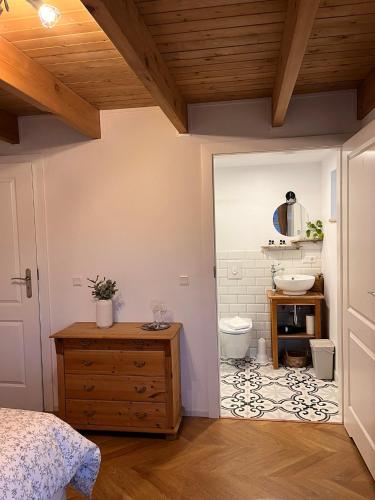 塞济斯菲厄泽Curry house rooms的一间卧室,浴室内设有卫生间和水槽