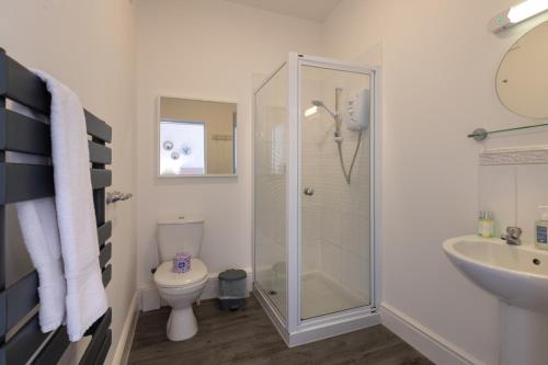 罗斯奈格尔Y Glan Neigr的带淋浴、卫生间和盥洗盆的浴室