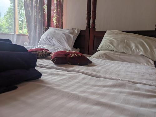 MbaleCwmbale Eco-Safari Lodges, Restaurant and Zoo.的床上有2个枕头